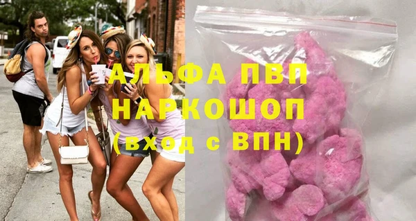 молекула духа Арсеньев