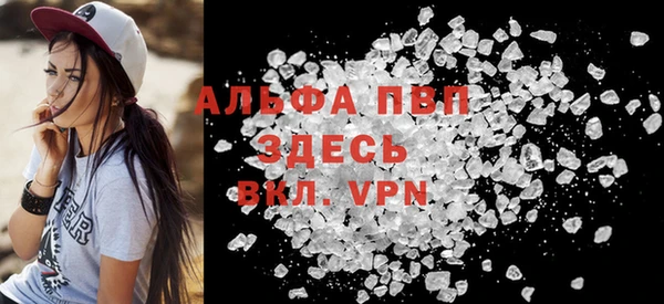 молекула духа Арсеньев