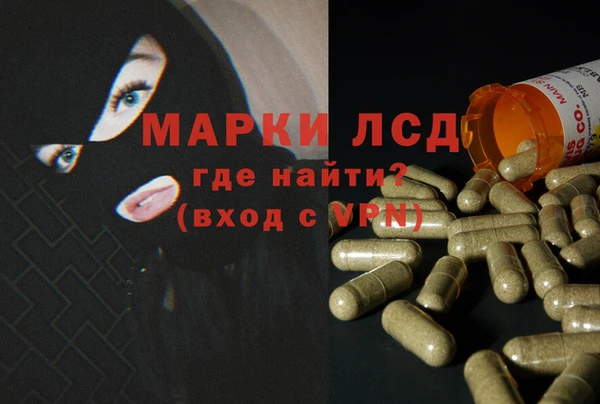 молекула духа Арсеньев