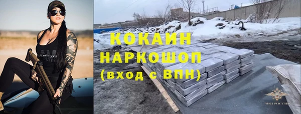 молекула духа Арсеньев