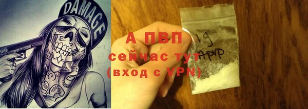 молекула духа Арсеньев